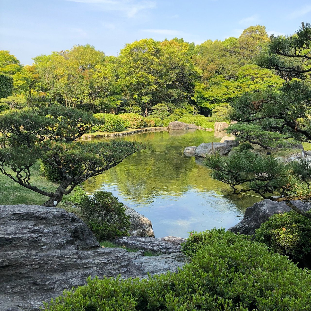 🌳 도스시 중앙공원 (도스시 주오코엔) 이미지 4